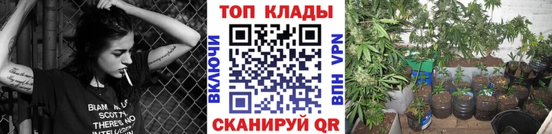 Виды наркотиков купить Тбилисская NBOMe APVP АМФ МЕФ Гашиш COCAIN Галлюциногенные грибы