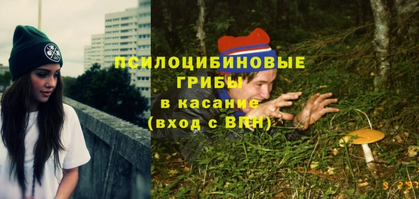 молекула духа Магадан