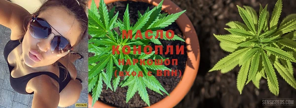 молекула духа Магадан