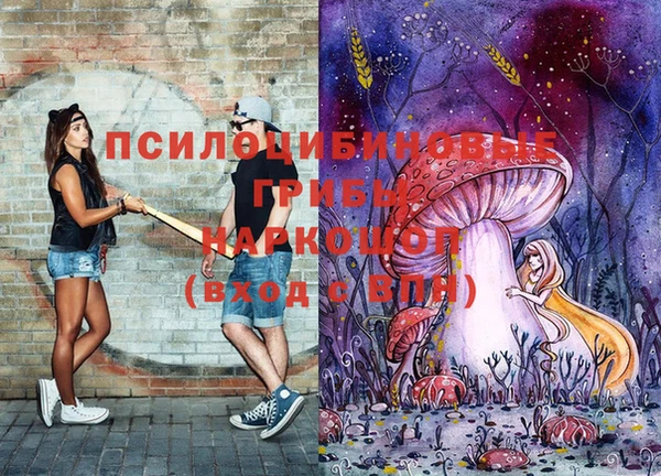 гидра Липки