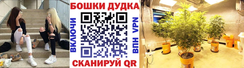 Каннабис план Тбилисская